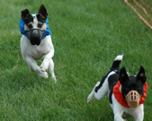 Enlarge photo 152