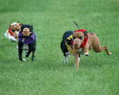 Enlarge photo 150