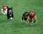 Enlarge photo 149