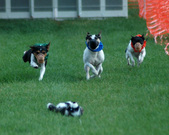 Enlarge photo 147