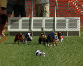 Enlarge photo 128