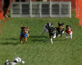 Enlarge photo 126