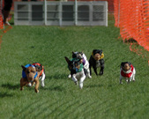Enlarge photo 125