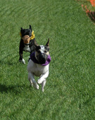 Enlarge photo 123