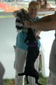 Enlarge photo 119