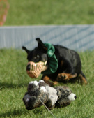 Enlarge photo 112