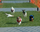 Enlarge photo 105