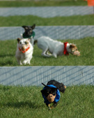 Enlarge photo 95