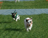 Enlarge photo 94