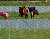 Enlarge photo 92