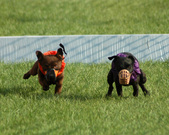 Enlarge photo 89