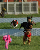 Enlarge photo 87
