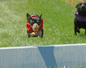 Enlarge photo 73