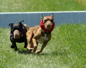 Enlarge photo 72