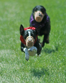 Enlarge photo 63