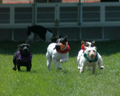 Enlarge photo 56