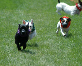 Enlarge photo 53