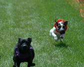 Enlarge photo 52