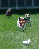 Enlarge photo 50