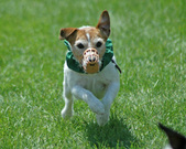 Enlarge photo 48