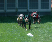 Enlarge photo 45