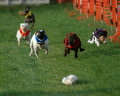 Enlarge photo 36