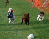 Enlarge photo 35