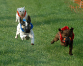 Enlarge photo 34
