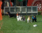 Enlarge photo 32