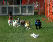 Enlarge photo 31