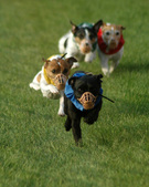 Enlarge photo 28