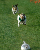 Enlarge photo 25