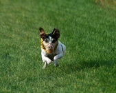 Enlarge photo 24