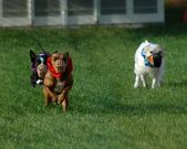 Enlarge photo 15