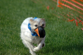 Enlarge photo 12