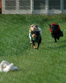 Enlarge photo 5