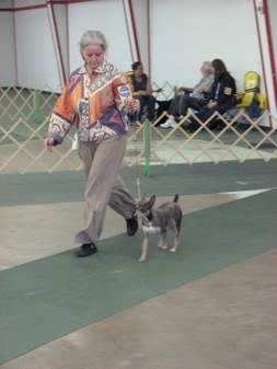Enlarge photo 59