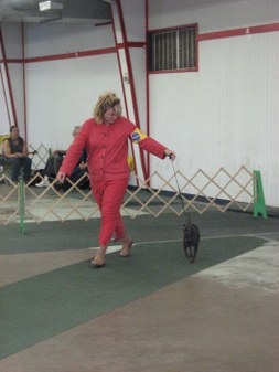 Enlarge photo 58