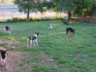 Enlarge photo 19
