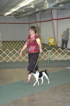 Enlarge photo 182
