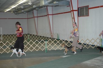 Enlarge photo 177