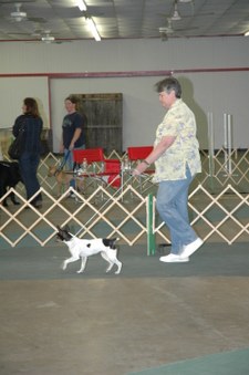 Enlarge photo 174