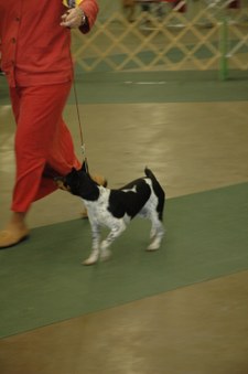 Enlarge photo 169