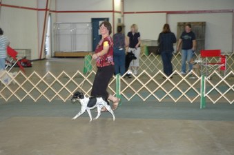 Enlarge photo 152