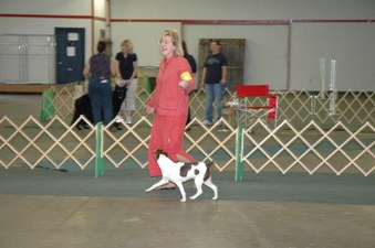 Enlarge photo 151