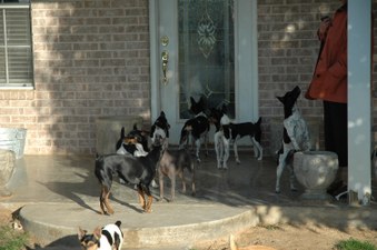 Enlarge photo 149
