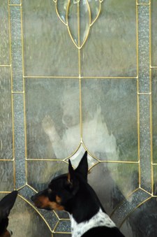 Enlarge photo 137