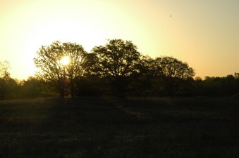 Enlarge photo 135