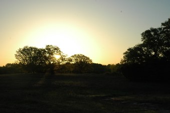 Enlarge photo 133
