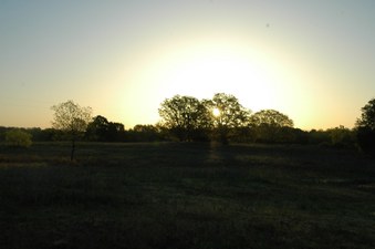 Enlarge photo 132
